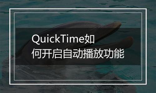 QuickTime如何开启自动播放功能