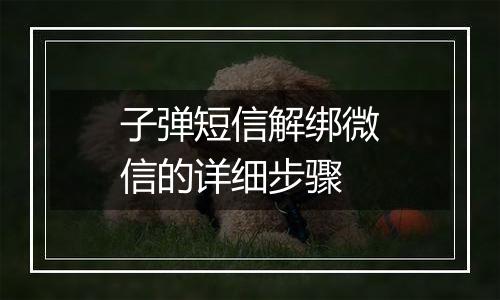 子弹短信解绑微信的详细步骤