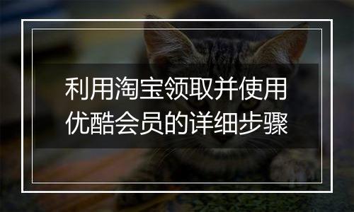 利用淘宝领取并使用优酷会员的详细步骤