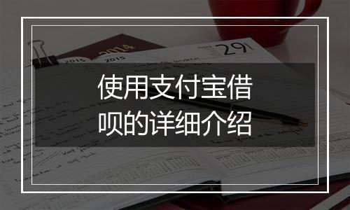 使用支付宝借呗的详细介绍