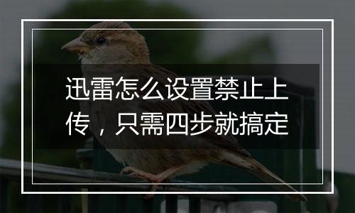 迅雷怎么设置禁止上传，只需四步就搞定