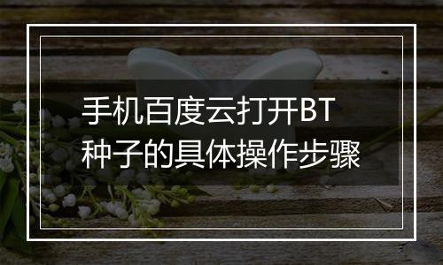 手机百度云打开BT种子的具体操作步骤