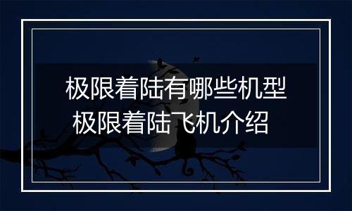 极限着陆有哪些机型 极限着陆飞机介绍
