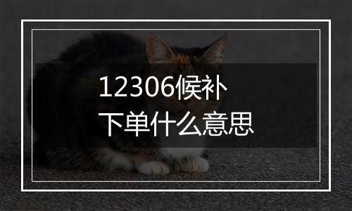 12306候补下单什么意思