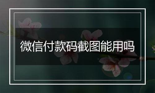 微信付款码截图能用吗