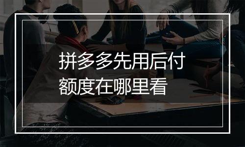 拼多多先用后付额度在哪里看