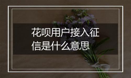 花呗用户接入征信是什么意思