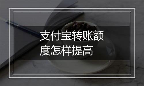 支付宝转账额度怎样提高