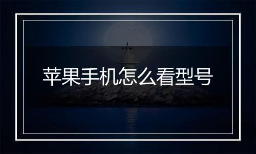 苹果手机怎么看型号
