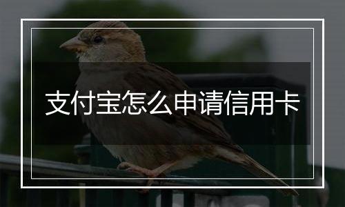 支付宝怎么申请信用卡