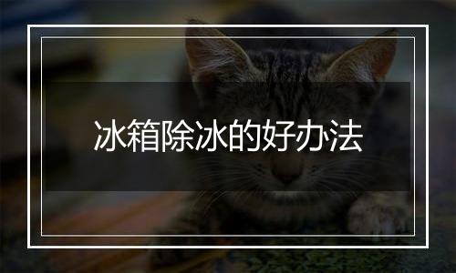 冰箱除冰的好办法