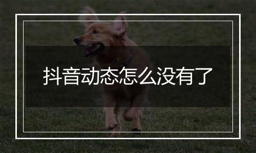 抖音动态怎么没有了