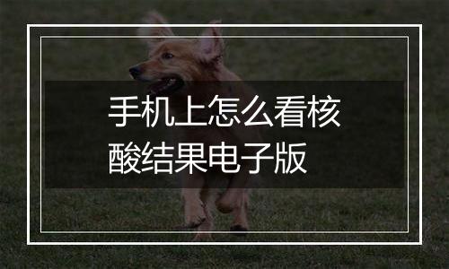 手机上怎么看核酸结果电子版