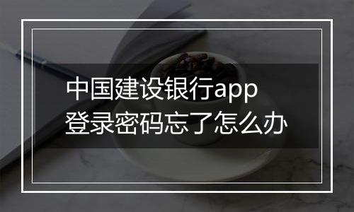 中国建设银行app登录密码忘了怎么办