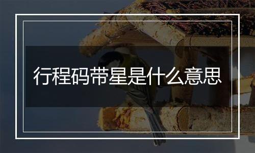 行程码带星是什么意思