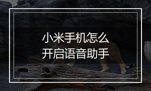 小米手机怎么开启语音助手