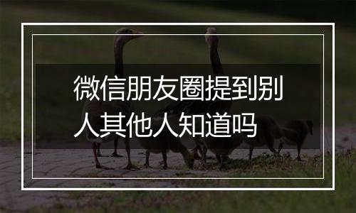 微信朋友圈提到别人其他人知道吗