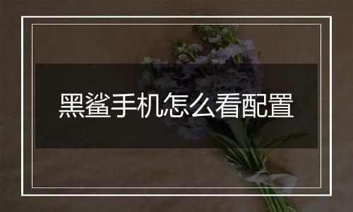 黑鲨手机怎么看配置