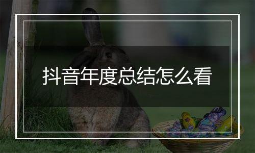 抖音年度总结怎么看