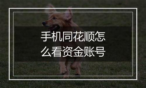 手机同花顺怎么看资金账号