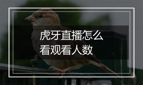 虎牙直播怎么看观看人数
