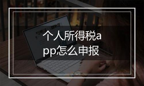 个人所得税app怎么申报