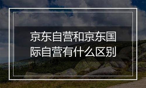 京东自营和京东国际自营有什么区别