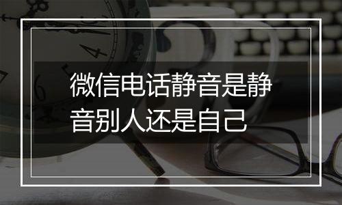 微信电话静音是静音别人还是自己