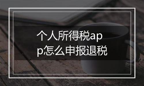 个人所得税app怎么申报退税