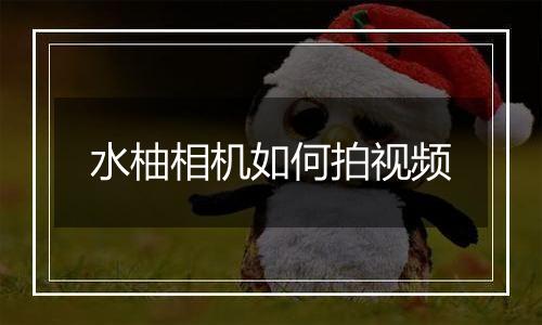 水柚相机如何拍视频