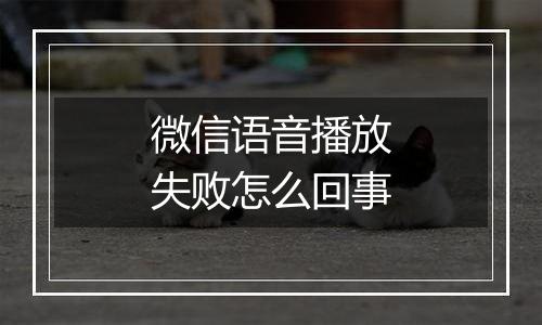 微信语音播放失败怎么回事