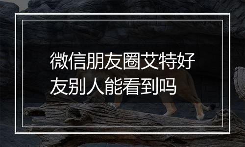 微信朋友圈艾特好友别人能看到吗