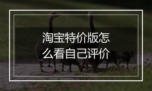 淘宝特价版怎么看自己评价