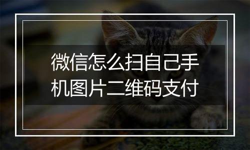 微信怎么扫自己手机图片二维码支付