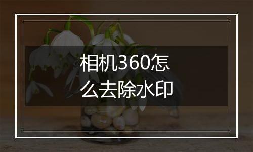 相机360怎么去除水印