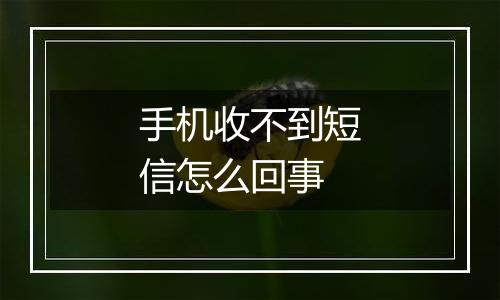 手机收不到短信怎么回事