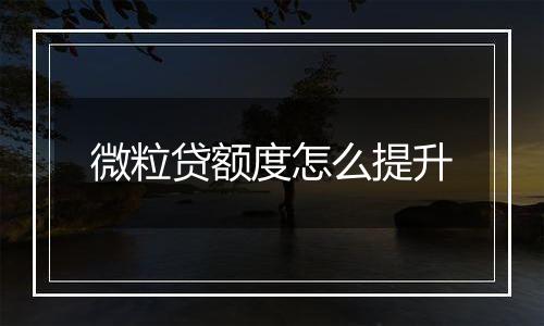 微粒贷额度怎么提升