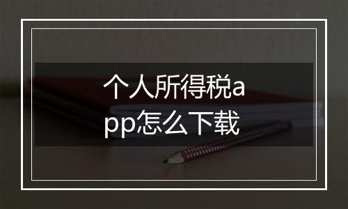 个人所得税app怎么下载