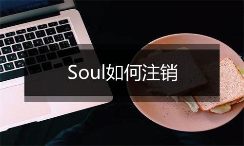 Soul如何注销