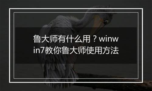 鲁大师有什么用？winwin7教你鲁大师使用方法
