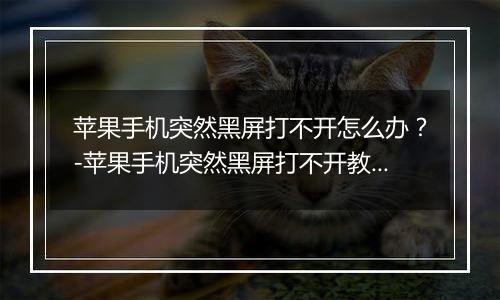 苹果手机突然黑屏打不开怎么办？-苹果手机突然黑屏打不开教程