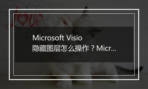Microsoft Visio隐藏图层怎么操作？Microsoft Visio隐藏图层具体教程