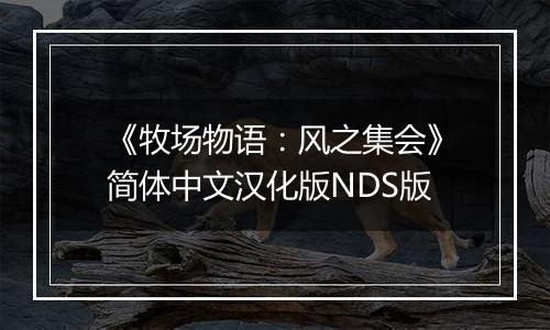 《牧场物语：风之集会》简体中文汉化版NDS版