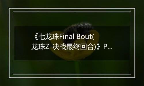 《七龙珠Final Bout(龙珠Z-决战最终回合)》PS ISO