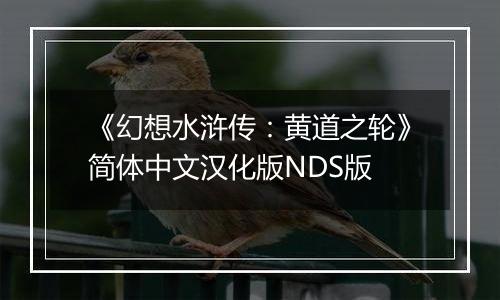 《幻想水浒传：黄道之轮》简体中文汉化版NDS版