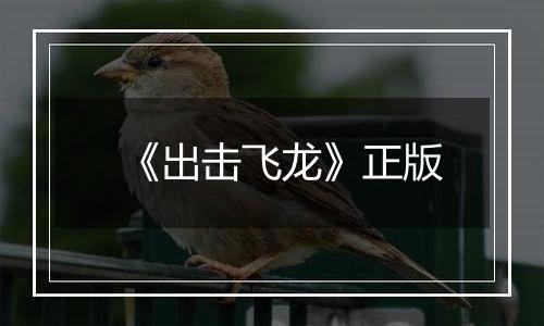 《出击飞龙》正版
