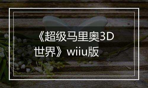 《超级马里奥3D世界》wiiu版