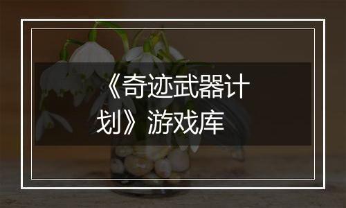 《奇迹武器计划》游戏库