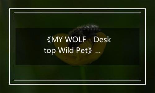 《MY WOLF - Desktop Wild Pet》游戏库