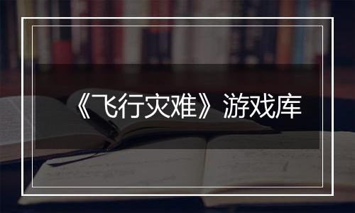 《飞行灾难》游戏库